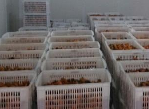 保鮮庫和冷凍庫的區別。