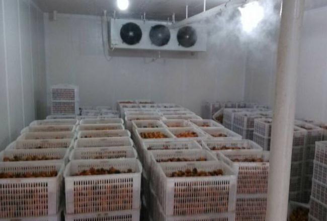 黄瓜视频免费看安裝