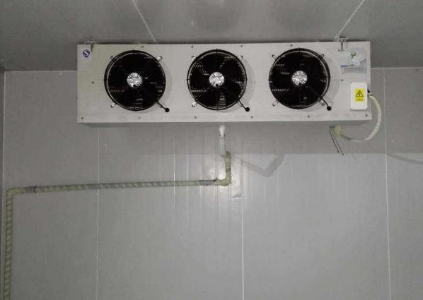 黄瓜视频免费看維修